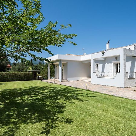 Villa Nefeli With Private Pool By Konnect Dassia  Exterior photo